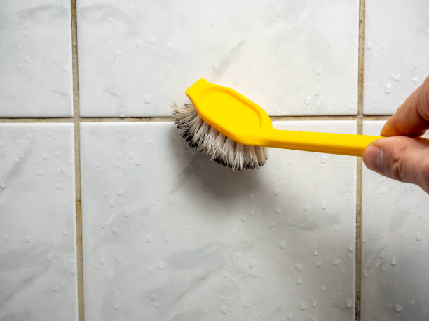  Brilliant, OH Mold Removal Pros