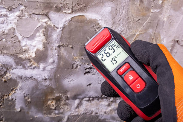 Best Mold Removal and Inspection  in Brilliant, OH